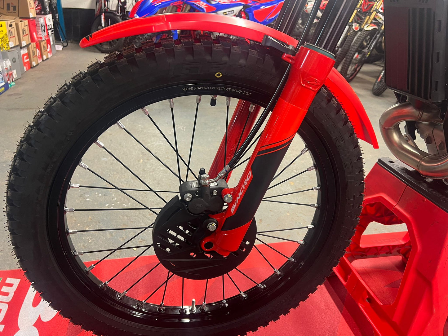 2026 Beta SINCRO 2T 250cc/300cc Trials Bike